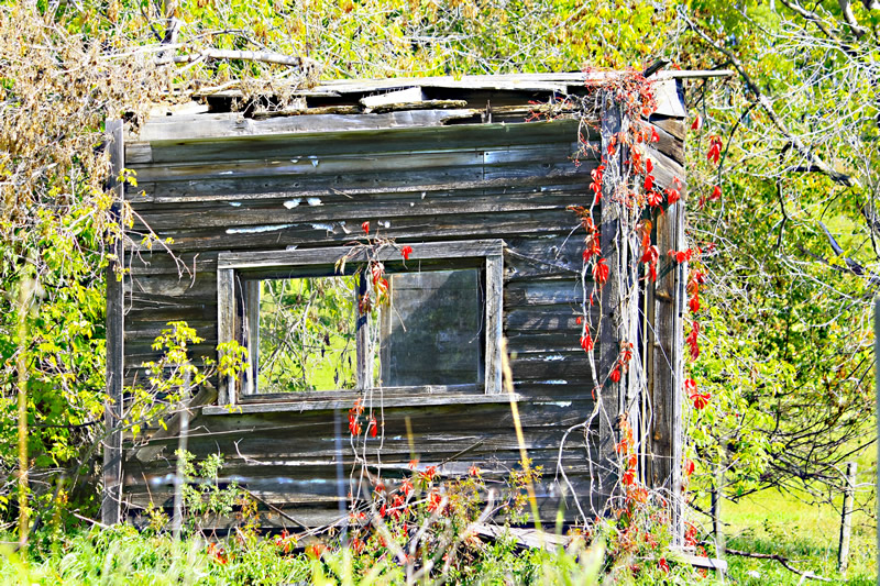 Great View by Ray Holmberg